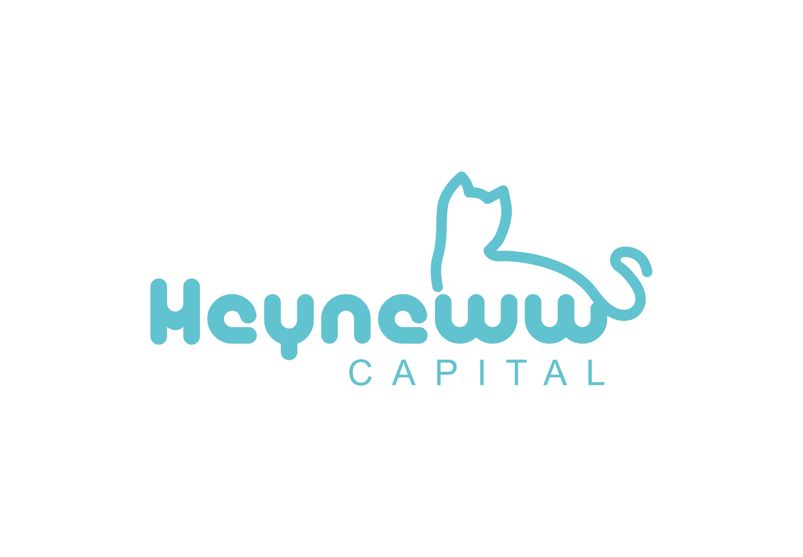 Heyneww Capital